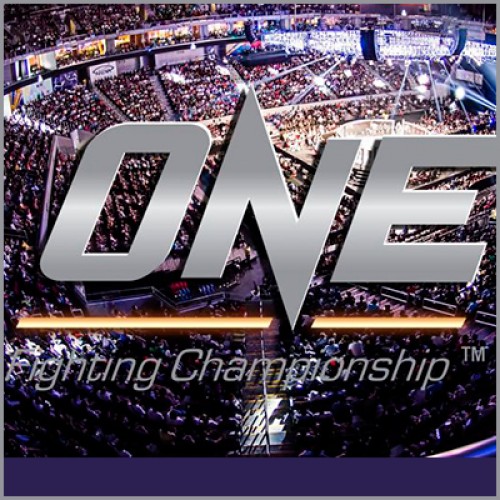 8 сильнейших ударников примут участие в турнире "ONE FC"